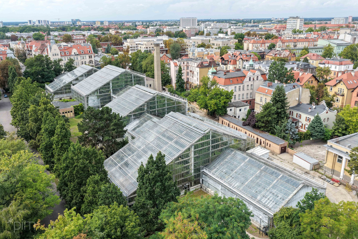 Dekpol Budownictwo modernisiert das Palmenhaus in Posen